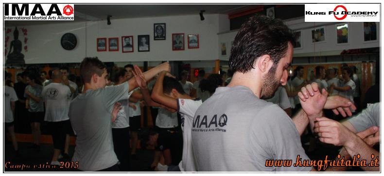 www.kungfuitalia.it kung fu academy di Sifu Salvatore Mezzone scuola di wing chun tjun tsun caserta italia imaa arti marziali e difesa personale tai chi (41)